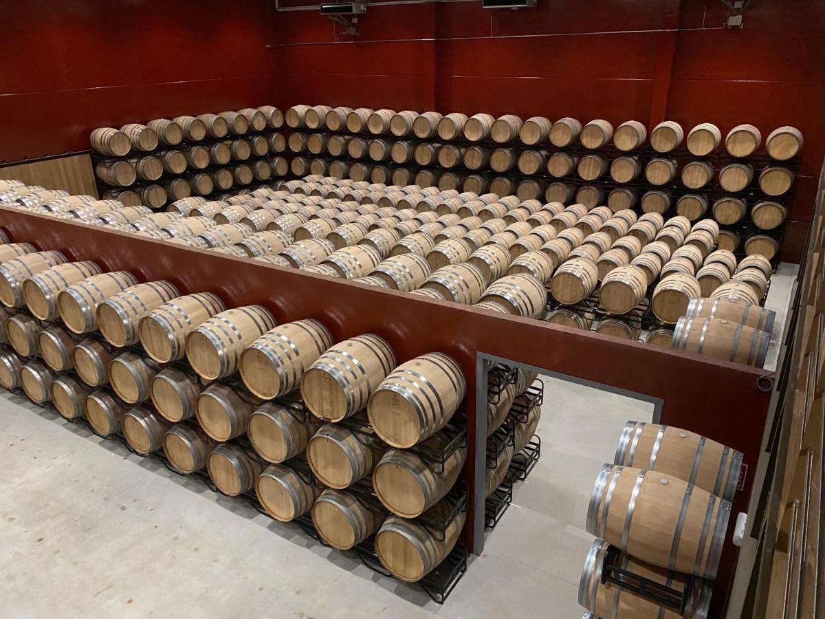 Hotel Bodega Fya - Grupo Pierola Navarrete Εξωτερικό φωτογραφία